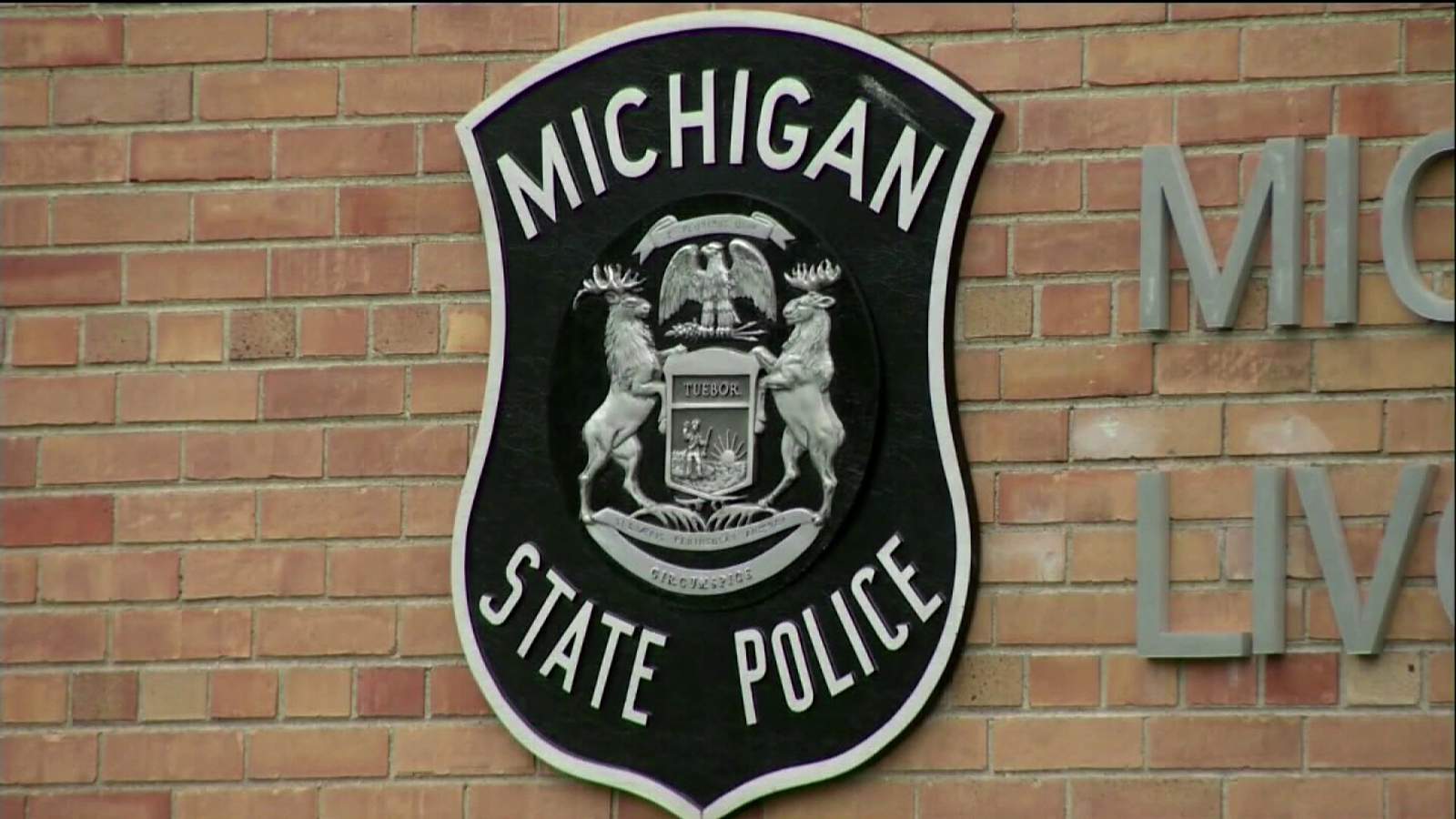 Michigan State Police posts traffic stop data, says rise in stops involving Black drivers ’merits review’