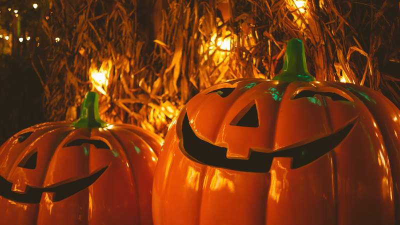 Submit a photo of your outdoor Halloween decorations