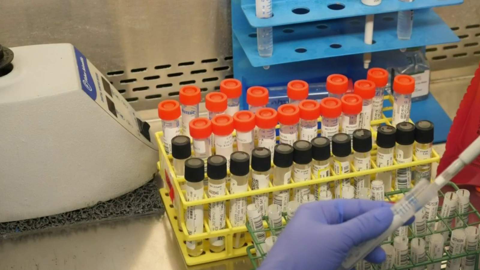 Here’s why the ‘PCR’ COVID test is the most effective