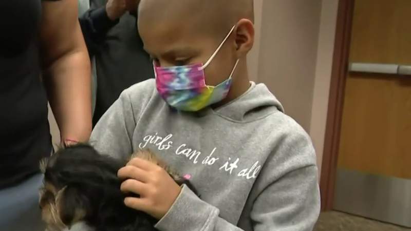 Auburn Hills first responders give 7-year-old girl fighting cancer a puppy