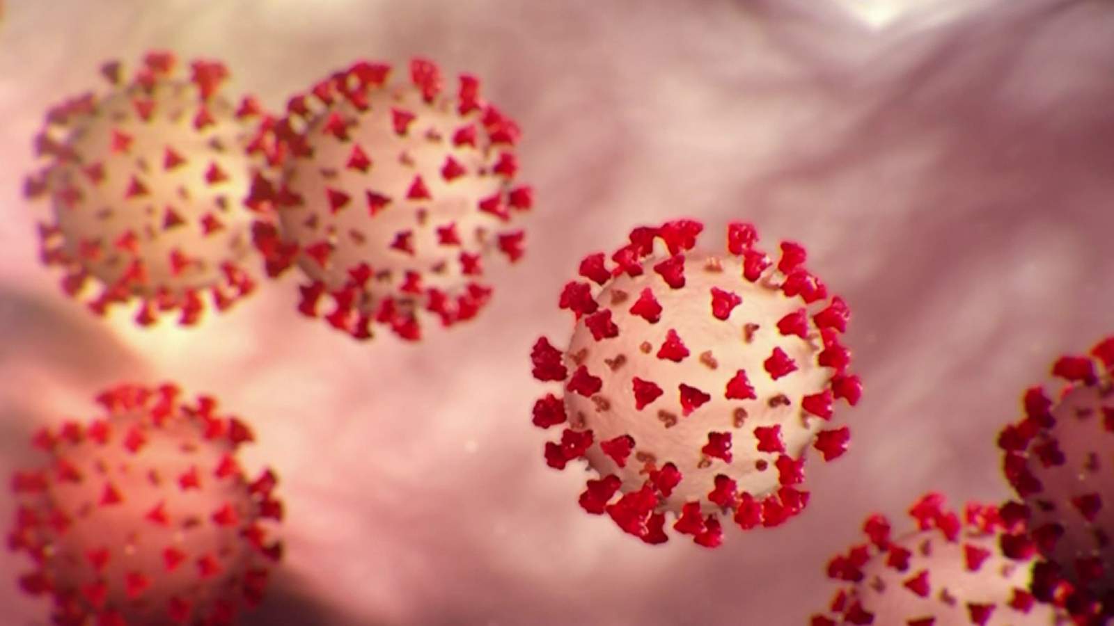 3 confirmed coronavirus deaths in Michigan: What we know about the patients