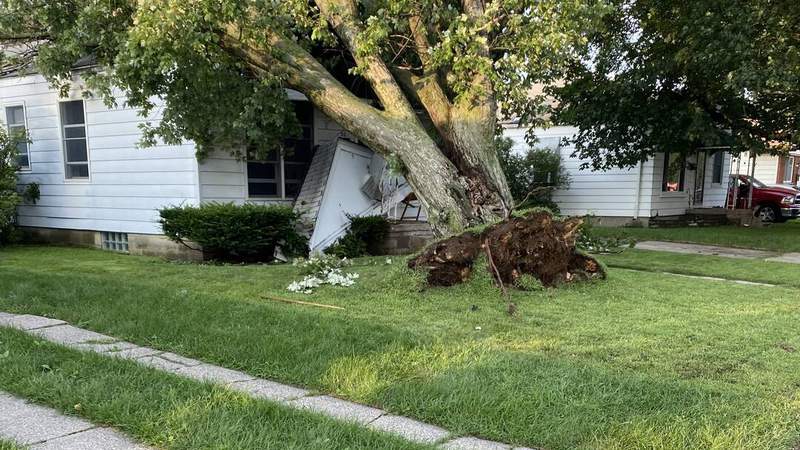 StormPins: Photos of lightning, downed trees, downed power lines, flooding after storms hammer Metro Detroit