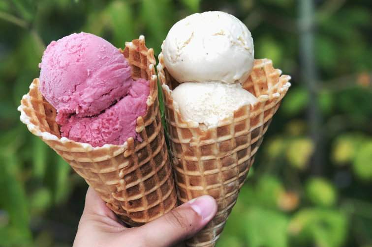 Ann Arbor’s Blank Slate Creamery open for season