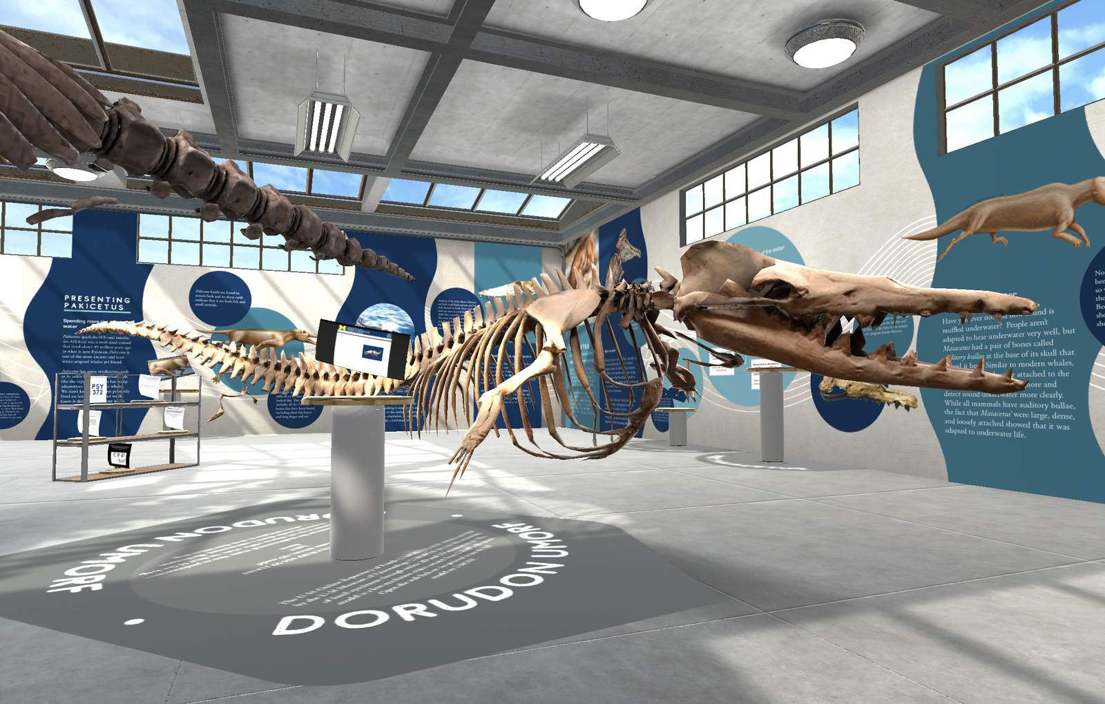 University of Michigan’s Museum of Natural History launches new virtual exhibit on prehistoric whales