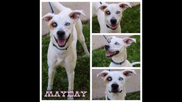 No description available