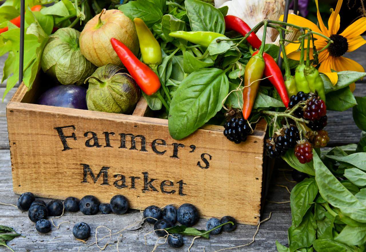 Where to find farmers markets and farm stops around Ann Arbor