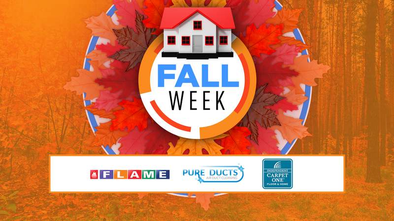 Live In The D’s Fall Week