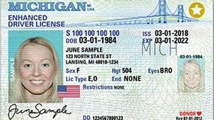 Michigan SOS: You will be able to renew enhanced licenses, IDs online by mid-March