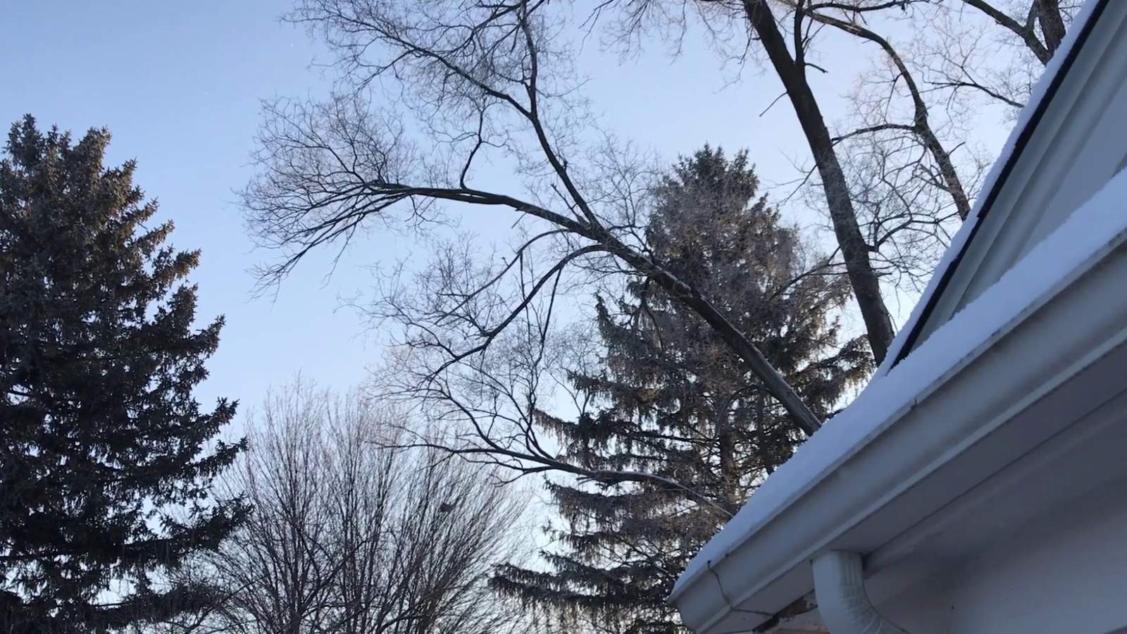 Snow falling from a clear blue sky in Michigan -- but how?