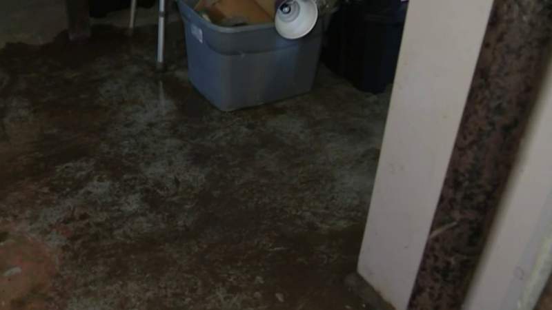 Residents frustrated with constant water in basements in Detroit, St. Clair Shores