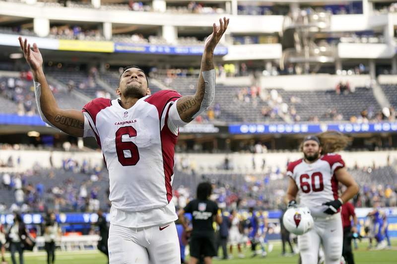 Colt McCoy leads Arizona Cardinals to decisive 23-13 win over