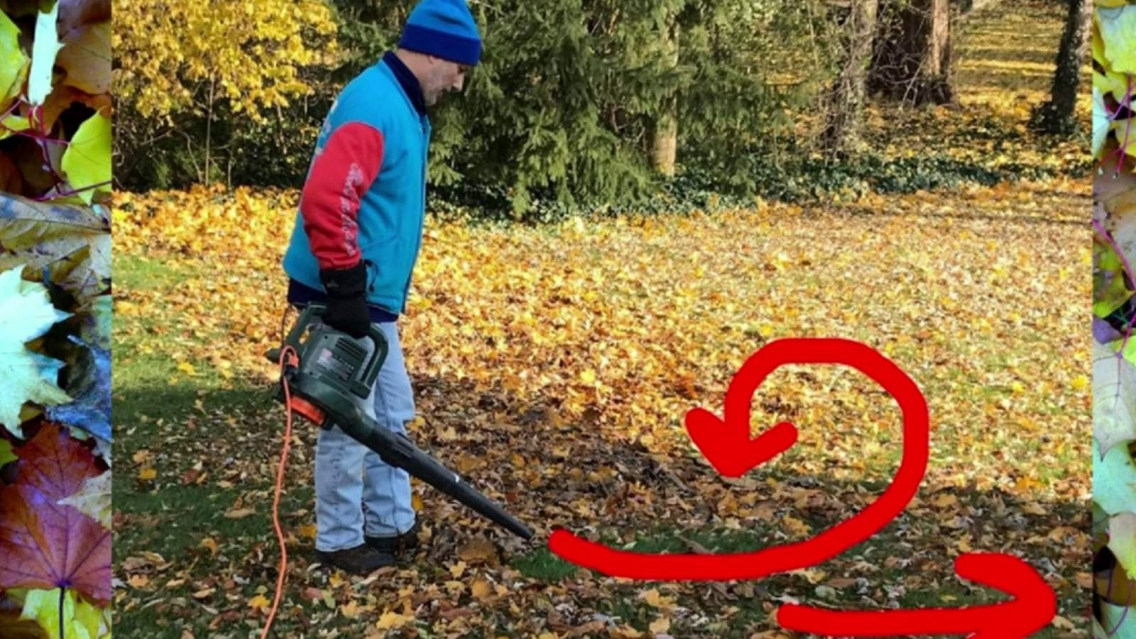 Are you blowing your leaves all wrong?