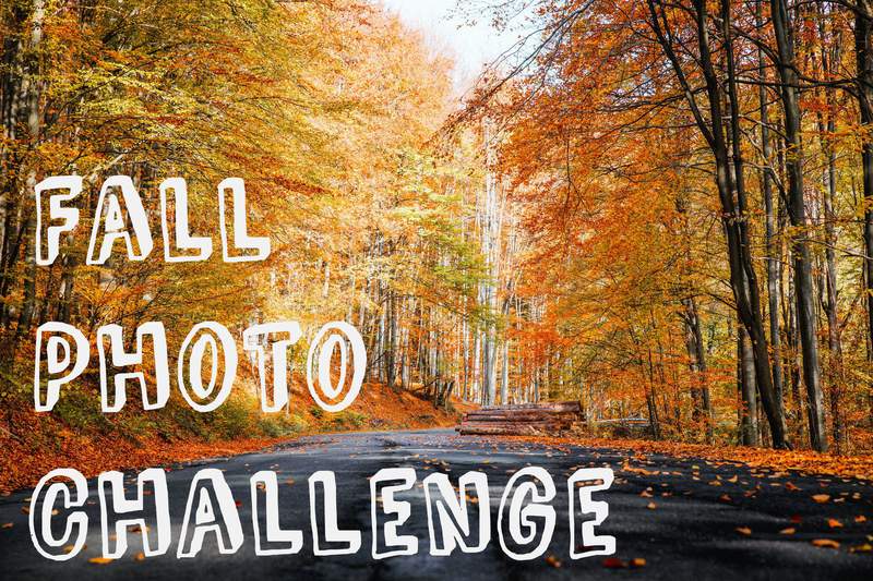 A4 Photo Challenge: Show us your fall photos!