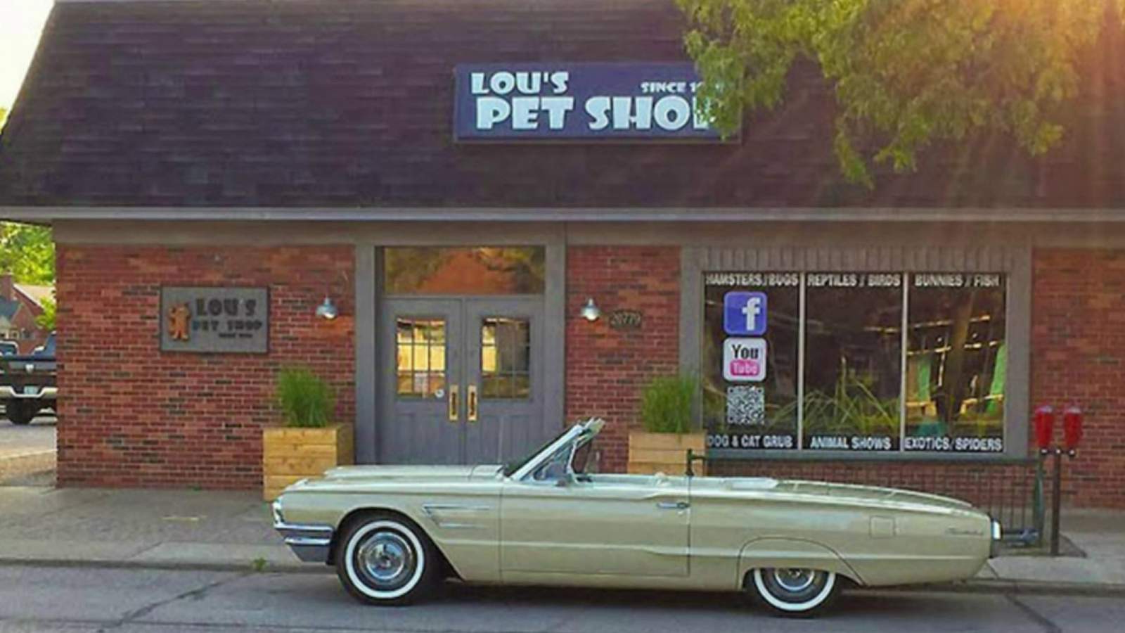 Have you ever seen a pet store like this?