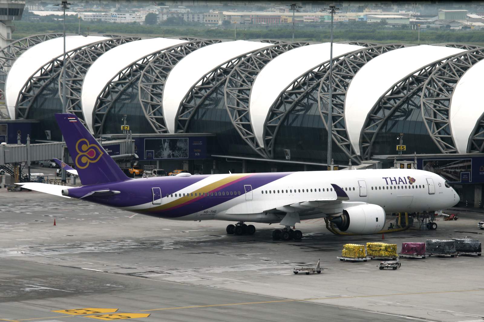 Cash strapped Thai Airways to seek bankruptcy rehabilitation