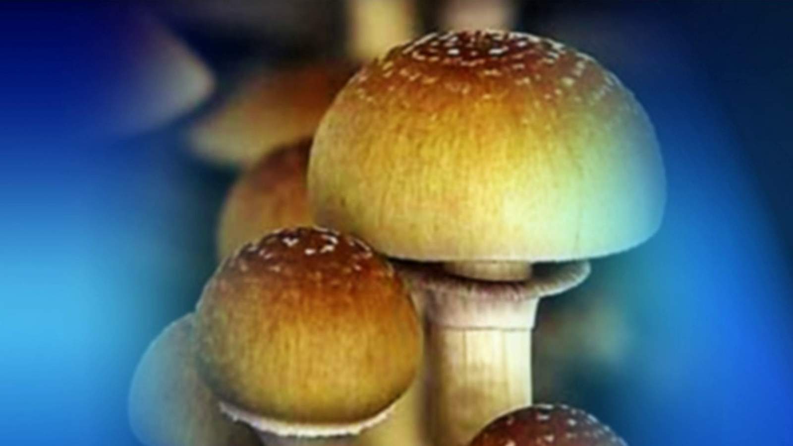 Magic mushrooms effective in treating depression, study finds