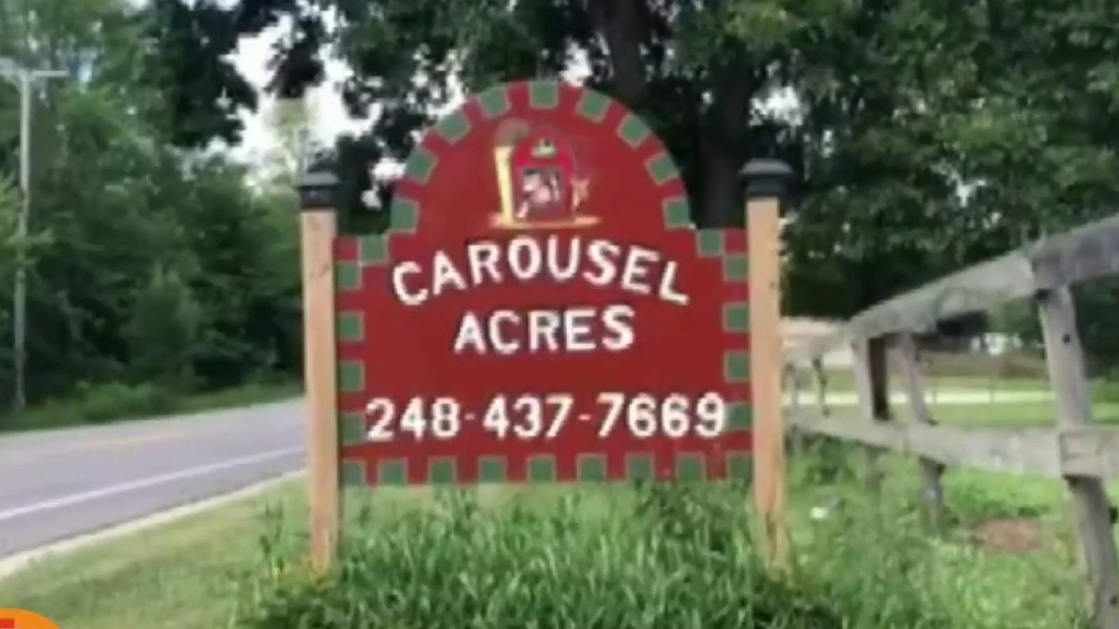 Take a walk on the wild side at Carousel Acres