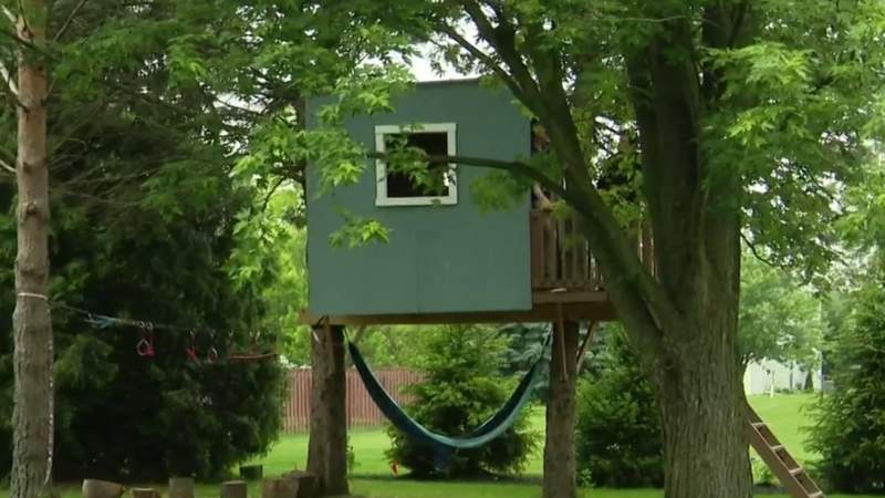Nightside Report June 25, 2021: Homeowner’s association orders Saline father to tear down tree house, MDHHS issues 12 COVID safety suggestions for Michigan schools during in-person learning