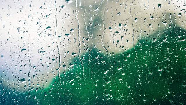 Wet weather: A look at rain totals in Southeast Michigan