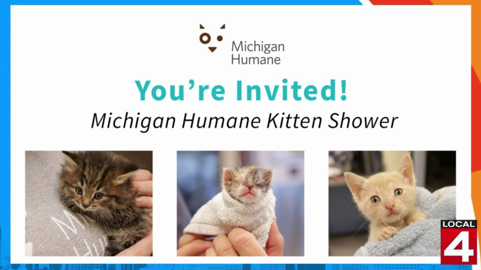 This Kitten Shower aims to help kittens in need -- and you can help