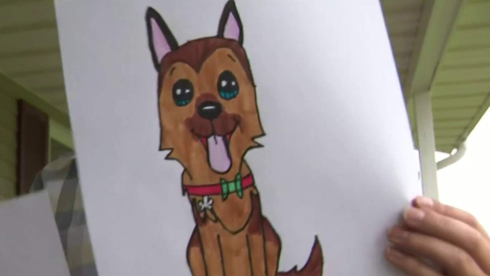 Lapeer boy sells art to raise money for animal shelter
