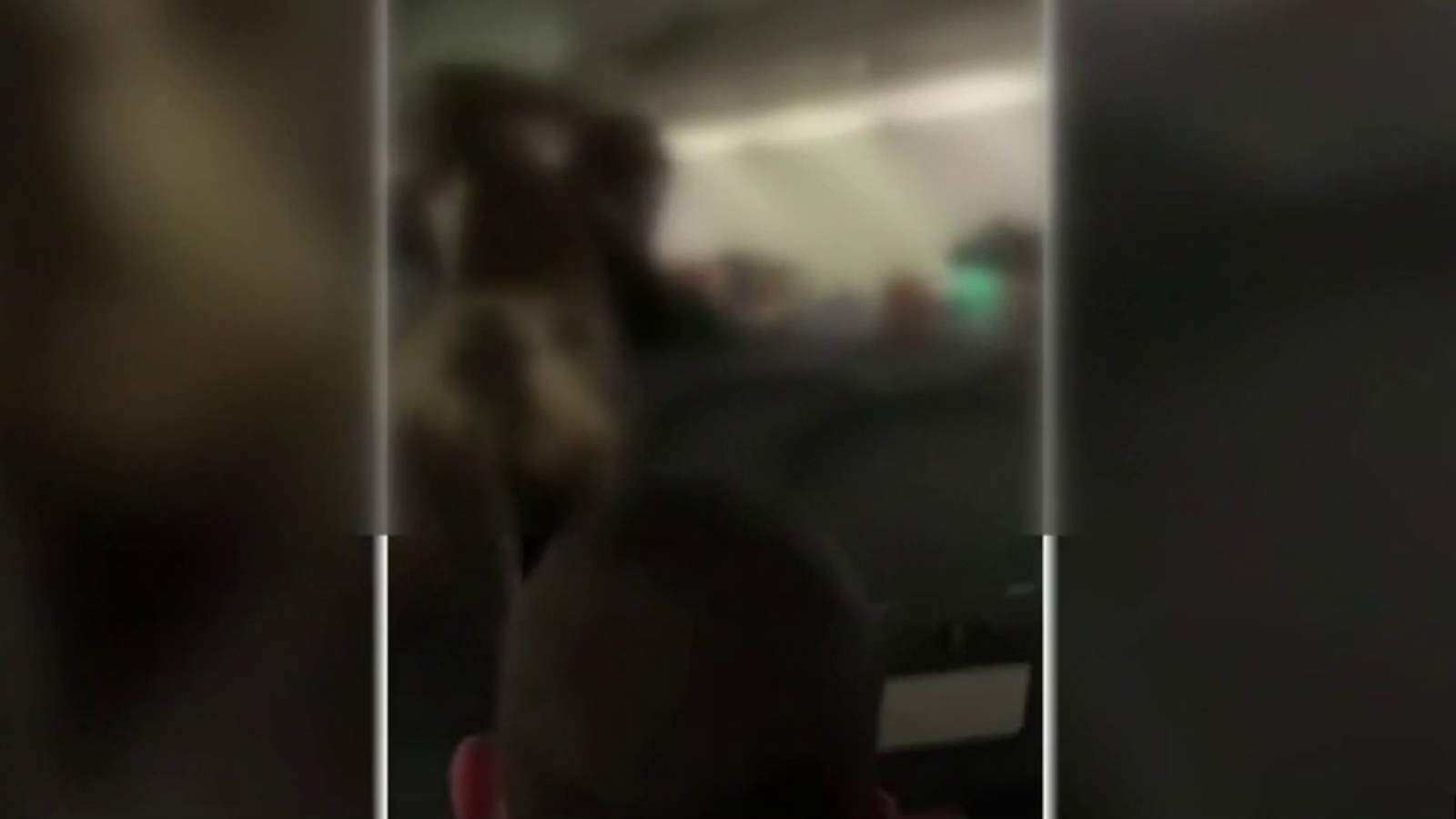 ‘Why aren’t you doing anything?’ -- Flight to Michigan makes emergency landing after bloody fight