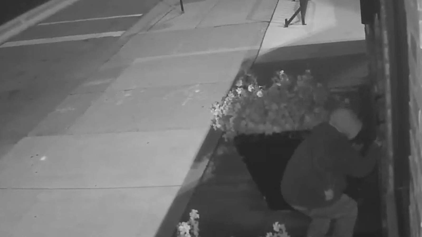 VIDEO: Detroit restaurant broken into, police seek suspect