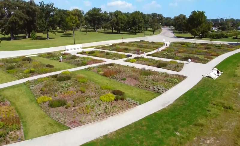 New garden bring native flowers, butterflies and more to Belle Isle