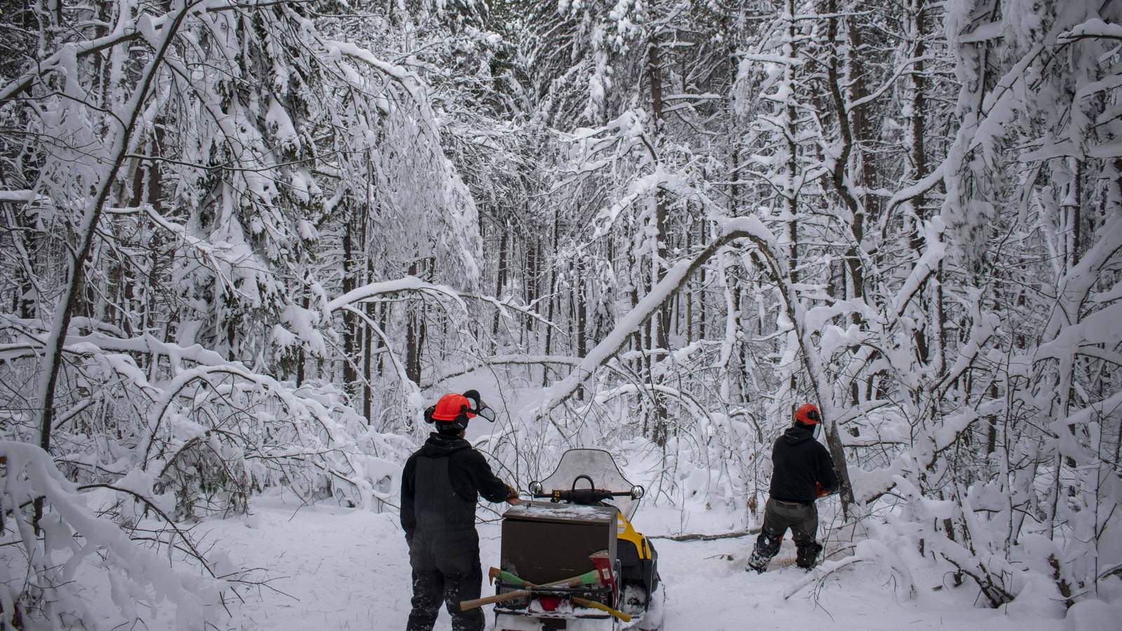 Riders on recreational snowmobile trails urged to use extra caution as storm cleanup continues