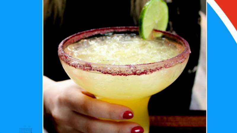 M Cantina shows off mixed drinks for National Tequila Day