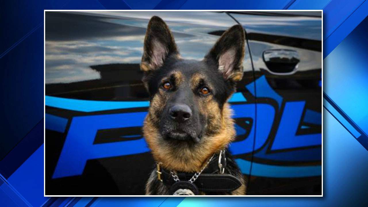 Macomb County Sheriff Unclear Who Fatally Shot St Clair Shores K 9 Officer