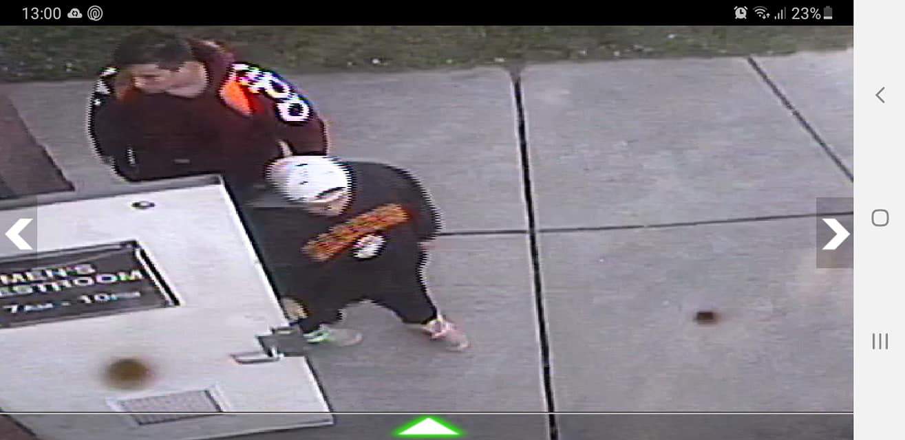 Graffiti vandals wanted by South Lyon police