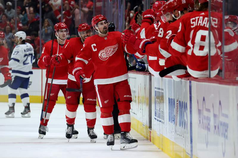 NHL suspends Red Wings C Dylan Larkin 1 game for punch