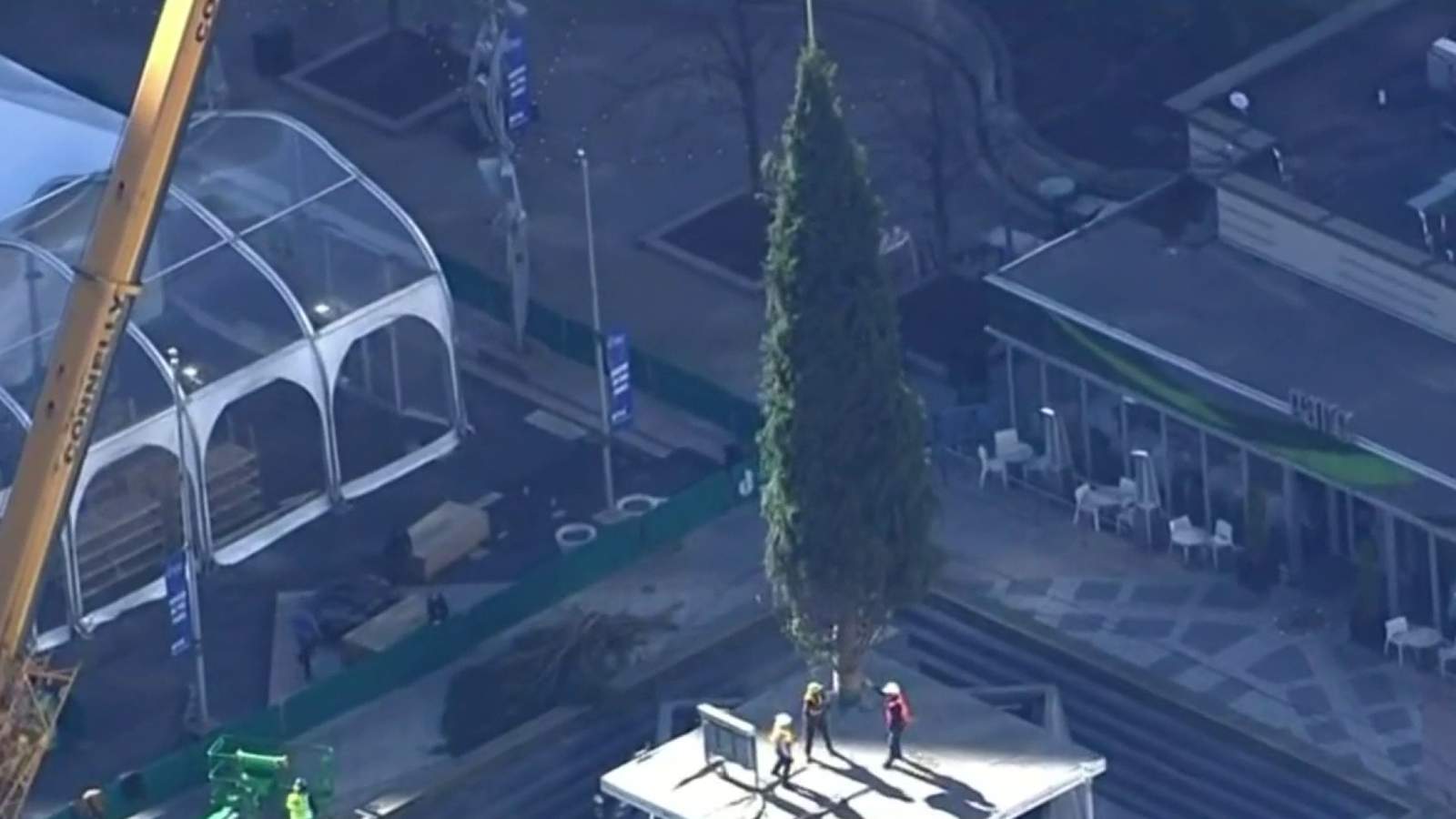 Detroit’s Christmas tree arrives at Campus Martius