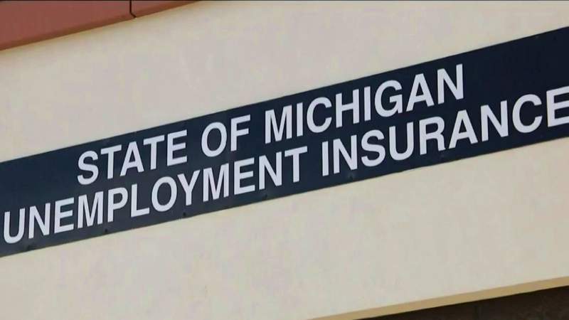 Director of Michigan Unemployment Insurance Agency appears before House Oversight Committee