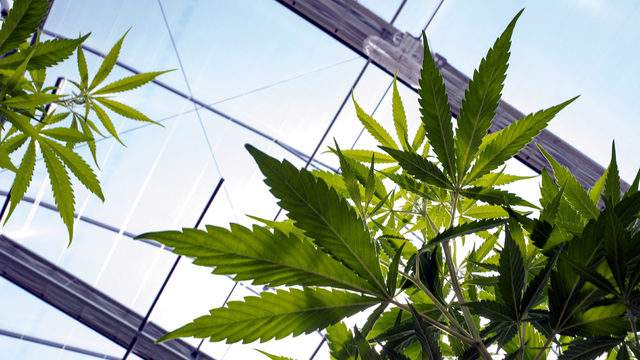 US House passes bill giving pot businesses access to banking
