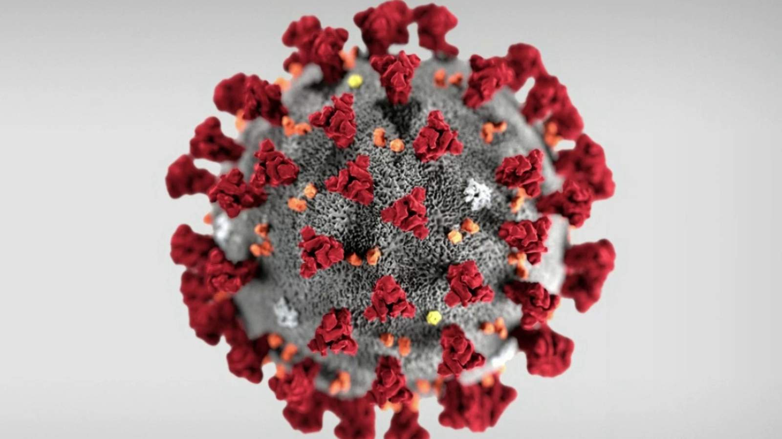 Michigan reports 11 new coronavirus (COVID-19) cases, bringing total to 65