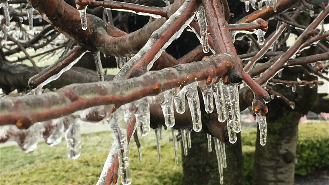 Ice Storm Warning issued for parts of Michigan; Widespread power outages expected