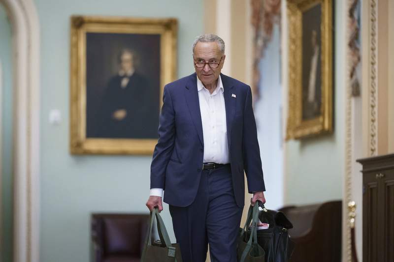 Democrats eye immigration action in budget, but outlook hazy