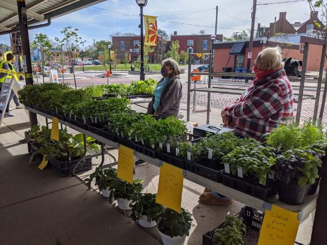 Ann Arbor Farmers Market opens for on-site shopping. What to know.