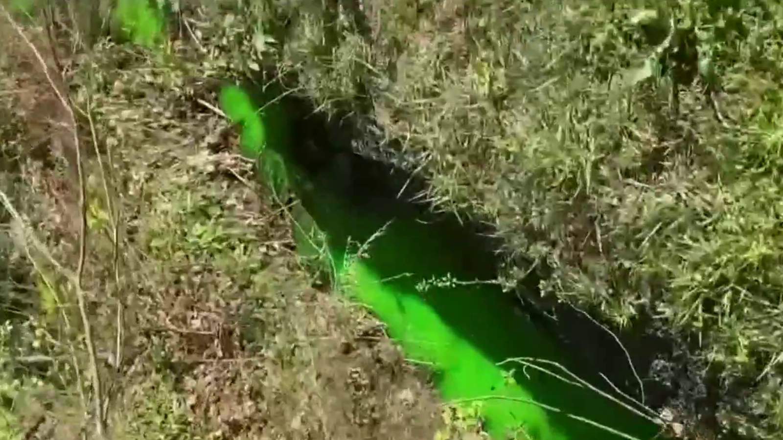 Illegal dumping turned Clinton Township creek neon green, officials say