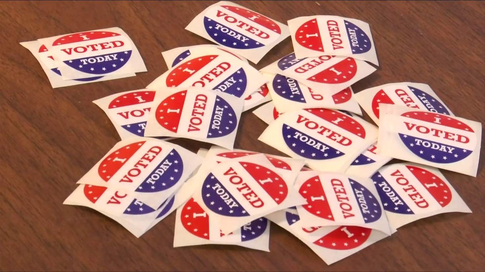 Michigan Election 2020: How to find your voting precinct