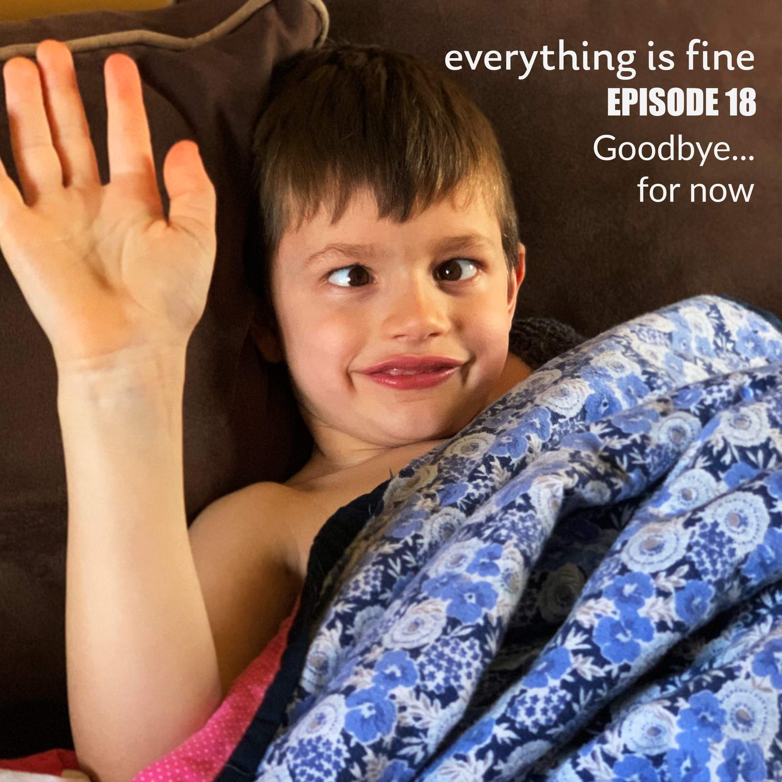 ‘Everything is Fine’ podcast: Goodbye... for now