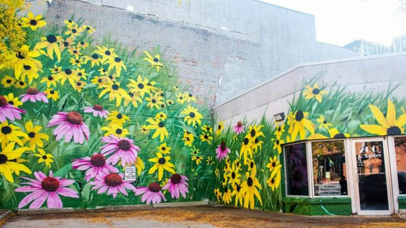 Ann Arbor Art Center launches crowdfunding campaign for new downtown murals, alleyway projects