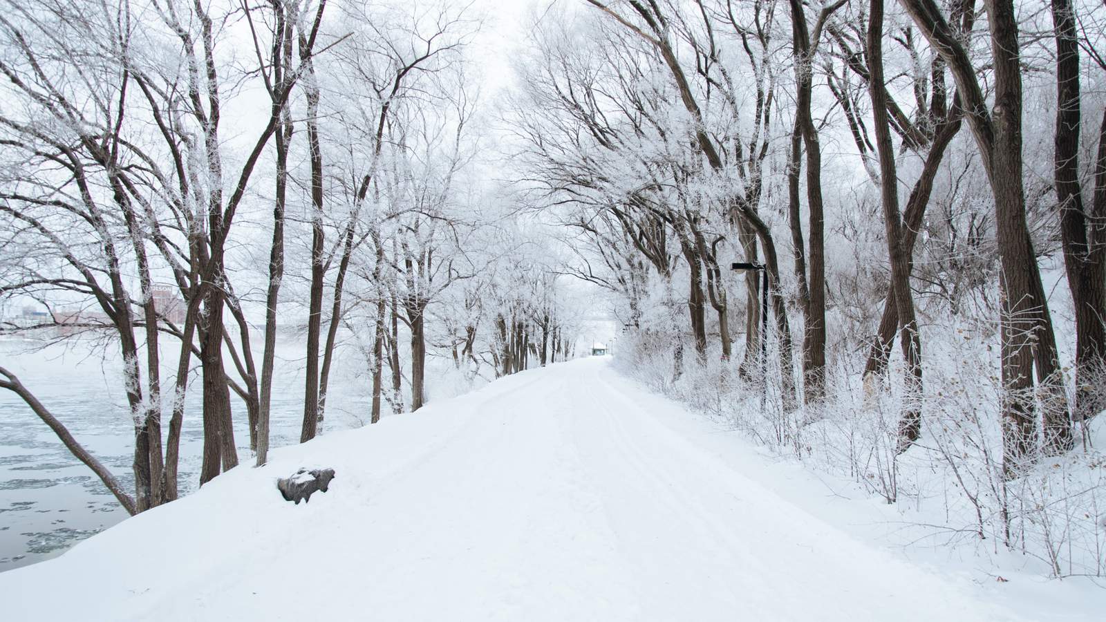 Winter storm update: Current snow totals for Metro Detroit Sunday