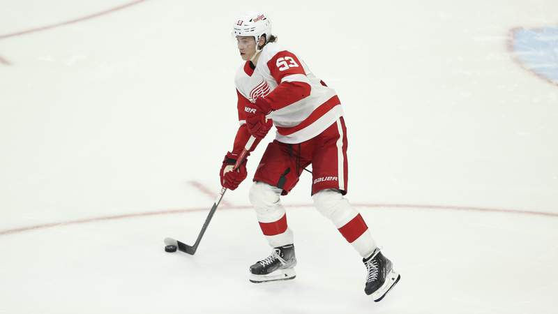 Dear Red Wings: Guessing the lineup