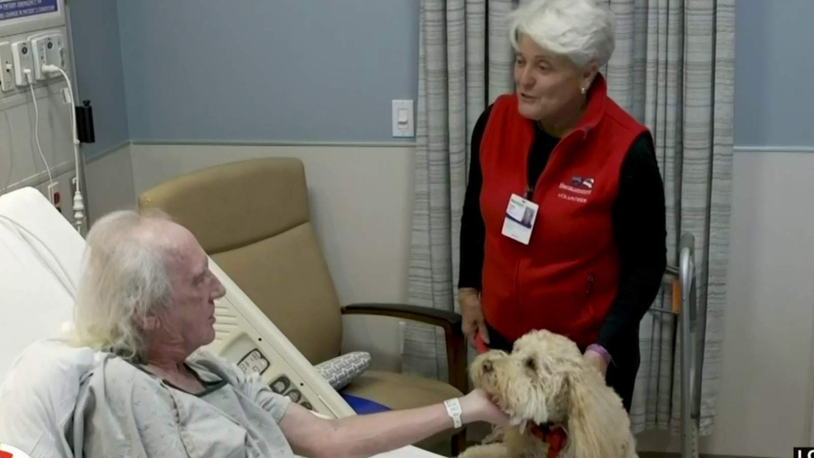 Dogs are helping patients heal