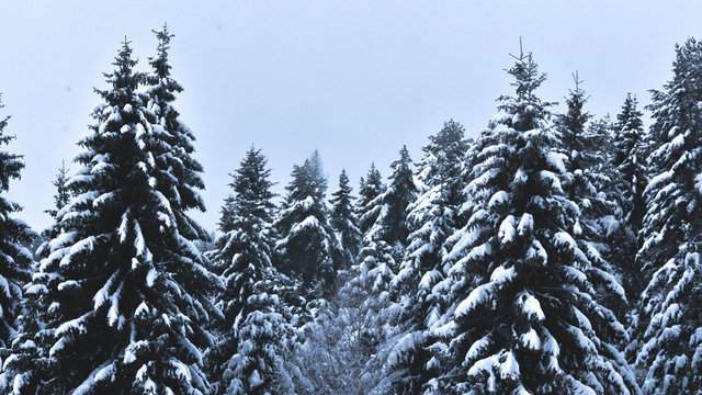 Early snowfall reports top 30 inches in Northern Michigan