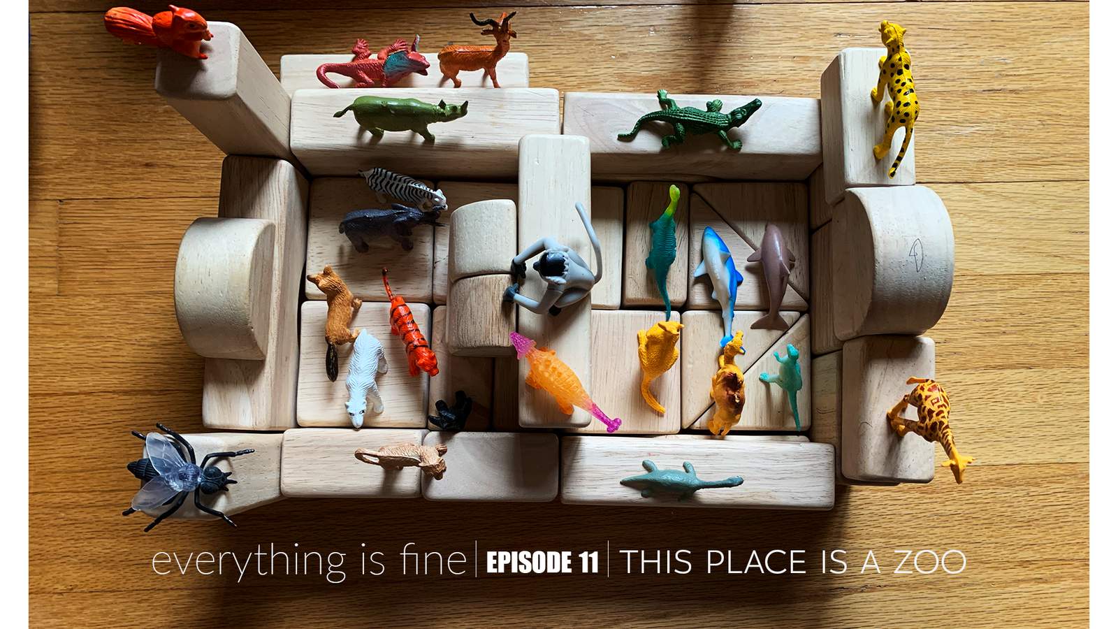 ‘Everything is Fine’ podcast: This place is a zoo