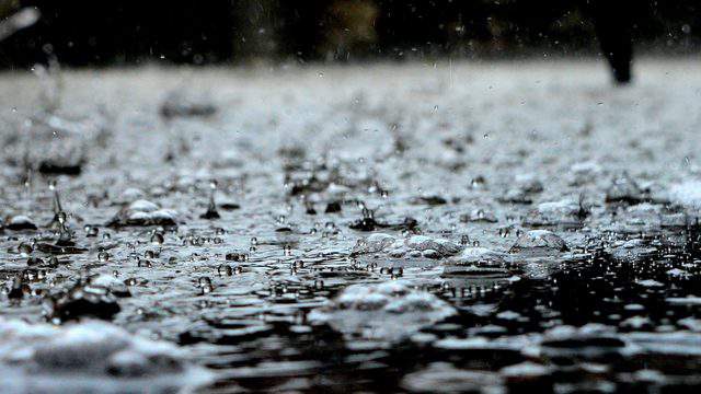 View here: SE Michigan rainfall totals this week